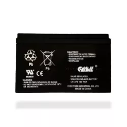 Casil 12V 7Ah Battery (NP7-12)
