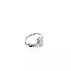 Paxton Net2 Watchprox - 698-574 (Pack of  10) (Silver)