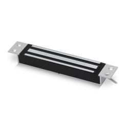 ICS Entry - Mini Mortice Maglock, 12/24V DC - A-10000