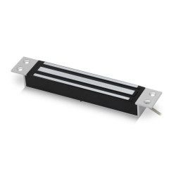 ICS Entry - Mini Mortice Maglock, 12/24V DC - A-10000